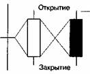 ТЕЛО (джиттай)