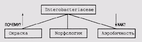 Формирование ответов на основе дерева целей в системе MYCIN