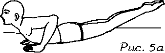  ( )