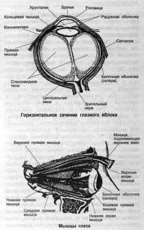 4.     