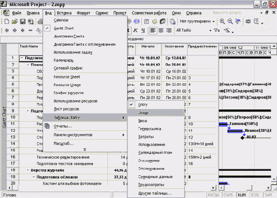        Gantt Chart ( )