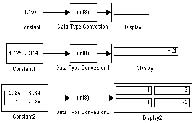     Data Type Conversion