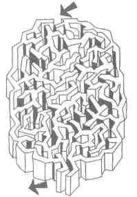 ,  4