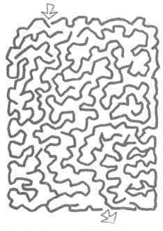 ,  6